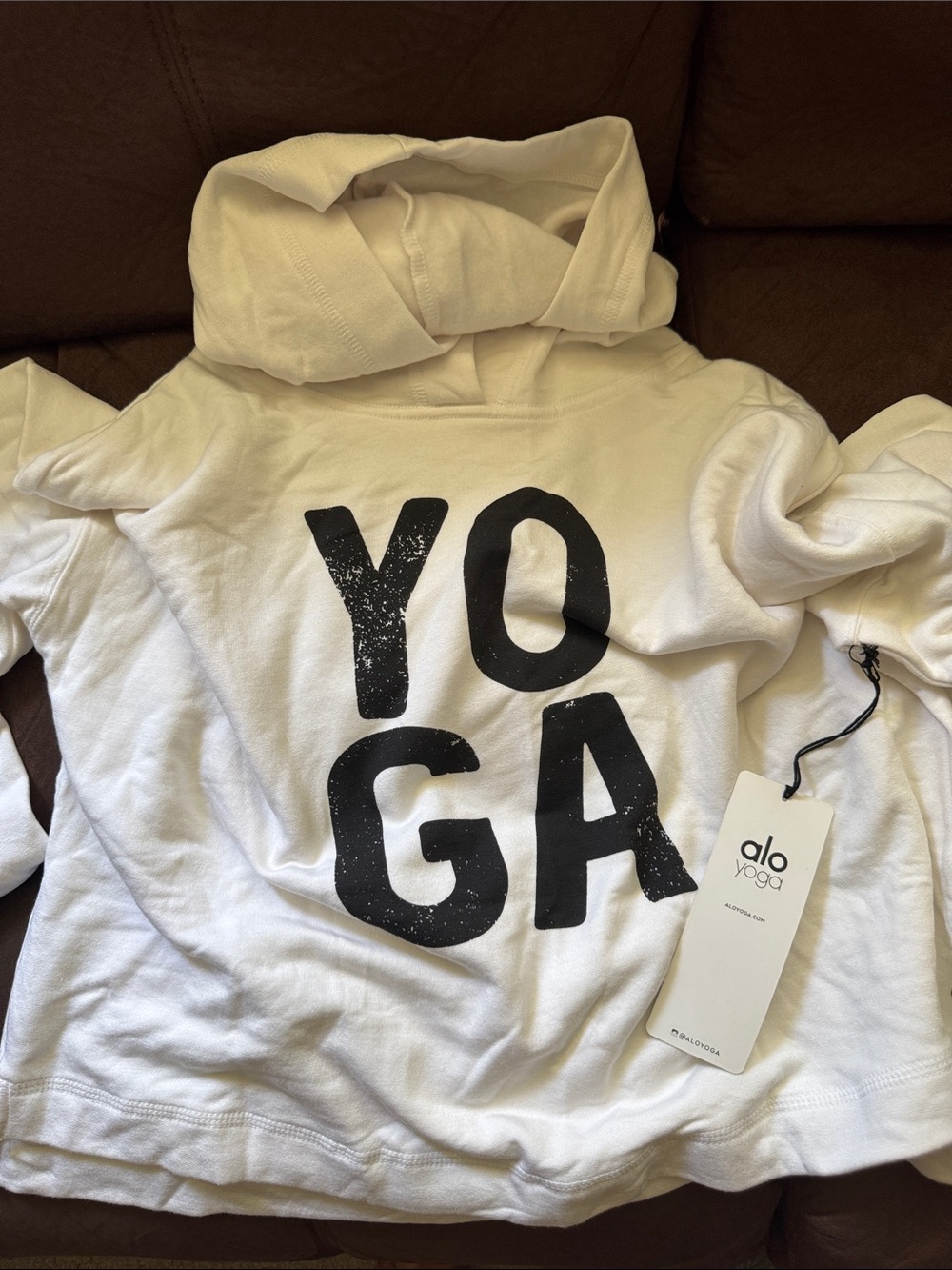 NWT vintage Alo yoga boxy hoodie
